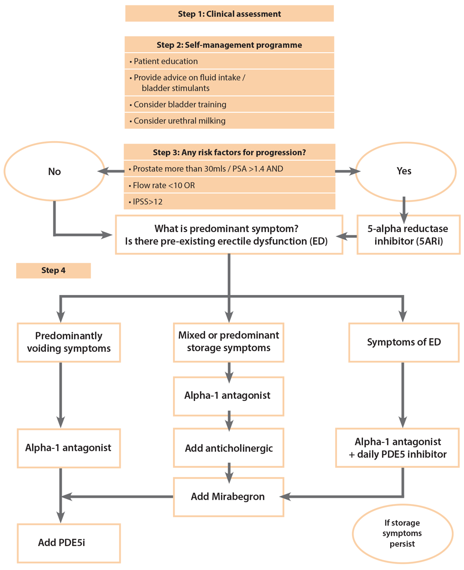 The medical management of LUTS BPH an update Urology News